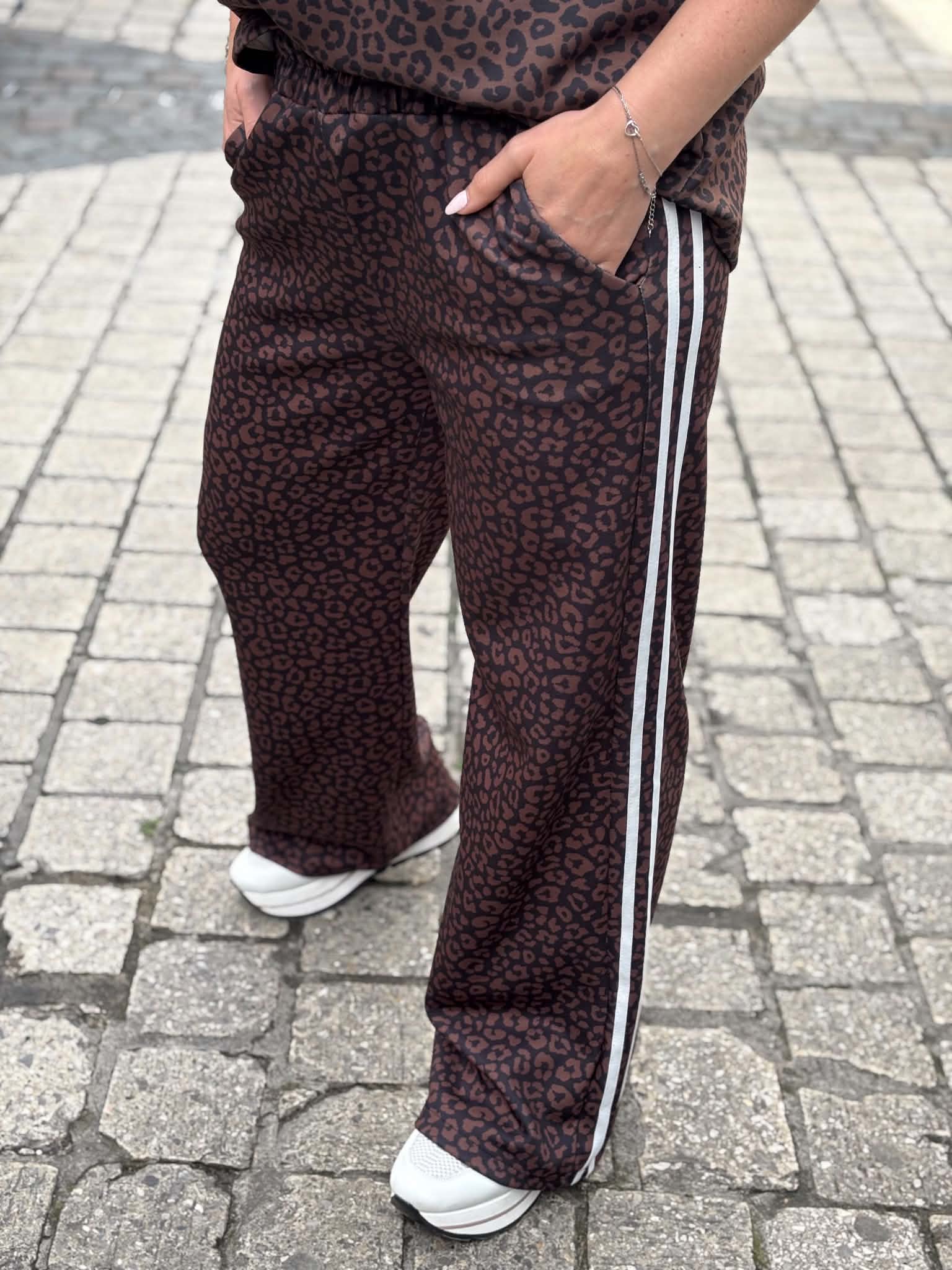 ENSEMBLE IRIS